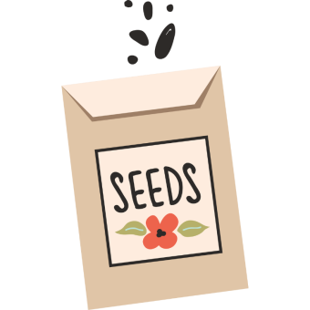 Illustration of a seed packet with a red flower on the label