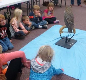 owl at the school with kids photo