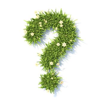 Question mark made from grass and flowers