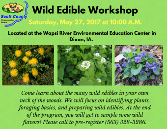 Wild Edible plants workshop at Wapsi River center flyer