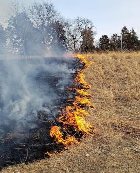 A controlled burn.