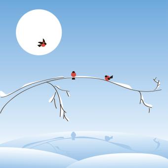 birds on a tree branch in winter scene clipart