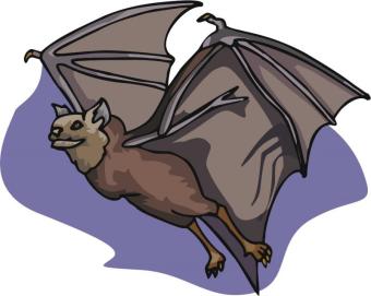 clip art image of a cartoon bat
