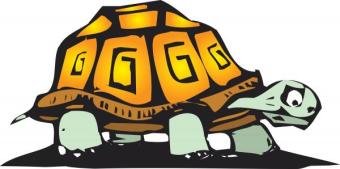 Turtle illustration clip art
