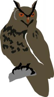 Image of an owl clipart