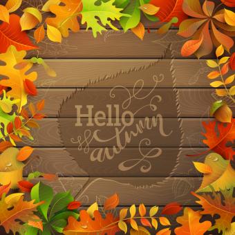 Bright Colourful autumn leaves on wood background. Hand-written text in the center.