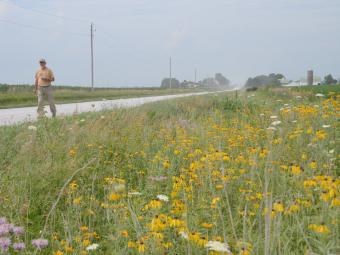 Man walking along roadside prairie.