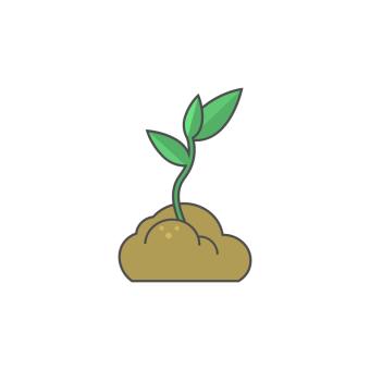 Small seedling in dirt image