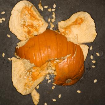  Photo of a pumpkin smashed on a concrete floor