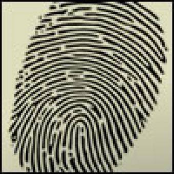 Image of Fingerprint