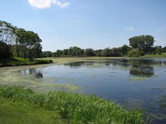 A view from the shore of Blue Grass lake.