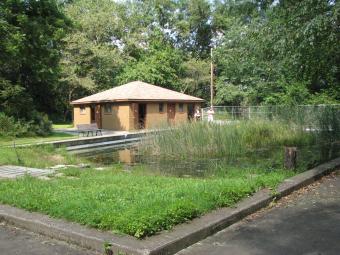 The lab in the distance behind the pond.