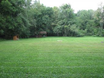 A field surrounded by trees