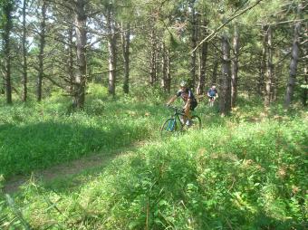 A biker on the trail.