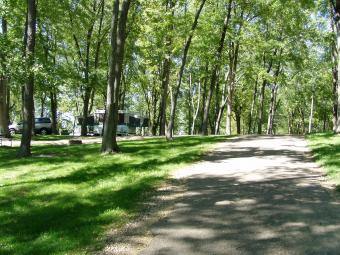 A shaded road in the campground.