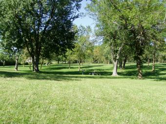 A look across wide areas with trees and tables.