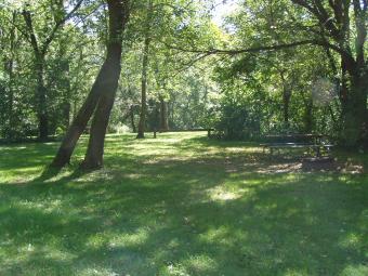 Looking into the wilderness at Wilderness Campground.