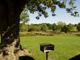 Grill under tree outside the shelter.