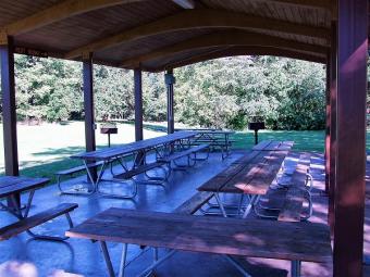 View from inside Hickory Hills shelter.