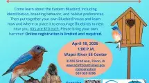 Flyer advertising the event.