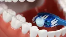 A toothbrush inside false teeth.