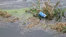 Pop bottle floating in flood waters.