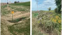 Left: The roadside was just grass in front of Cathy Lafrenz’s property before the county launched its Adapt-A-Prairie program. R