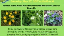 Wild Edible plants workshop at Wapsi River center flyer