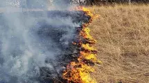 A controlled burn.