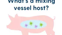 Avian Influenza