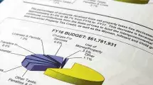 Image of a non-descript page of the budget showing pie charts.