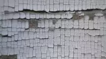 Lead Paint Crackle on Wood Siding