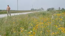 Man walking along roadside prairie.