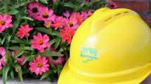 September flowers and a hard hat.