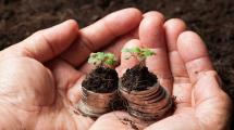 Hands holding money that is "growing" 