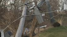 Down power line with metal debris in nearby trees.