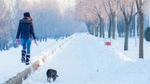 Girl walking dog in the snow