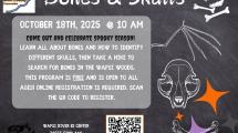Flyer advertising event