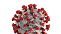 coronavirus image with sphere with red; 