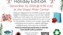 Flyer advertising the event.