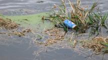 Pop bottle floating in flood waters.