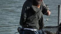 Picture of a grown man and child on a boat dock with trout in a fishing net.