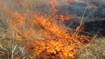 Small grass fire.