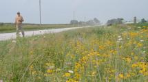 Man walking along roadside prairie.